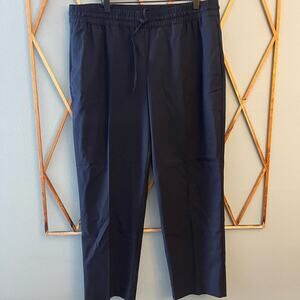 NWT Banana Republic Pull On Dress Pants